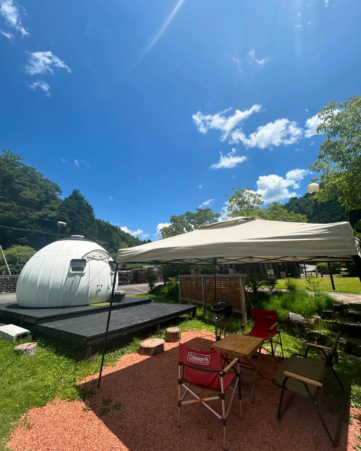 夏の日差しがすさまじいですね☀️