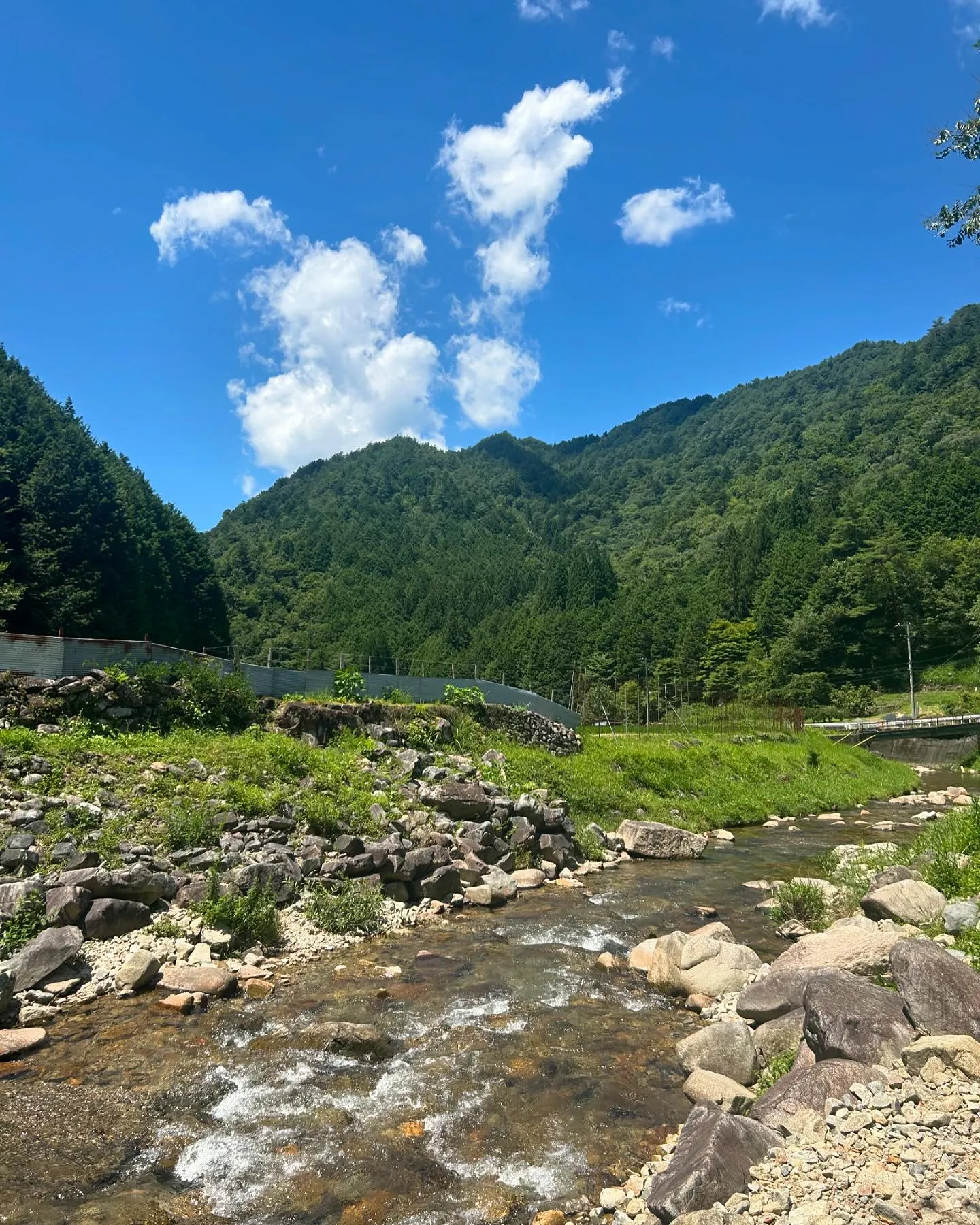 夏の日差しがすさまじいですね☀️